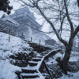 Japan winter temple wallpaper