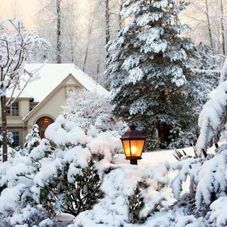 Winter season cozy desktop wallpaper