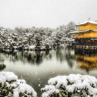 Japan winter temple wallpaper