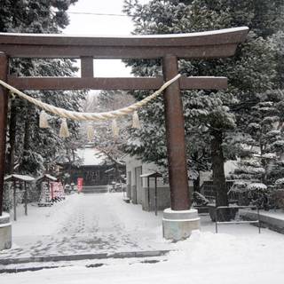 Japan winter temple wallpaper