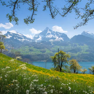Spring Switzerland wallpaper