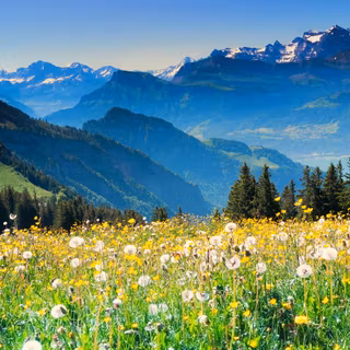 Spring Switzerland wallpaper