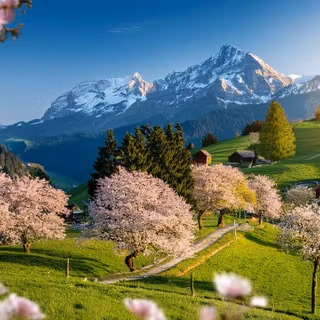 Spring Switzerland wallpaper