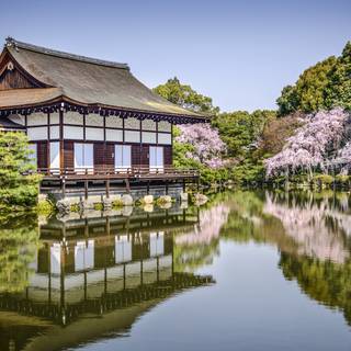 4k spring Japan wallpaper