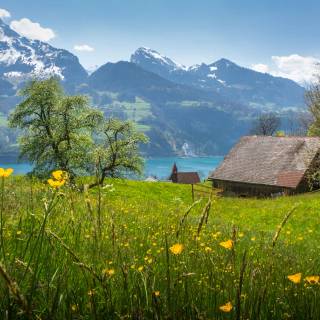 Spring Switzerland wallpaper