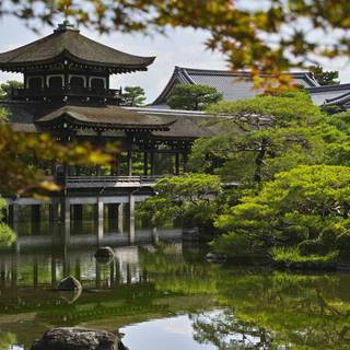 4k spring Japan wallpaper