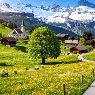 Spring Switzerland wallpaper