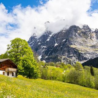 Spring Switzerland wallpaper