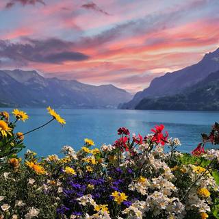 Spring Switzerland wallpaper