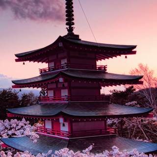 4k spring Japan wallpaper