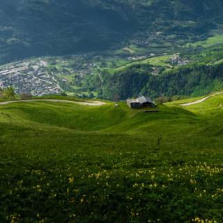 Ultrawide 4k spring wallpaper