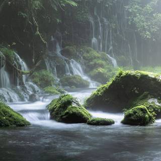 Ultrawide 4k spring wallpaper