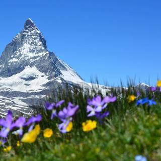 Spring Switzerland wallpaper