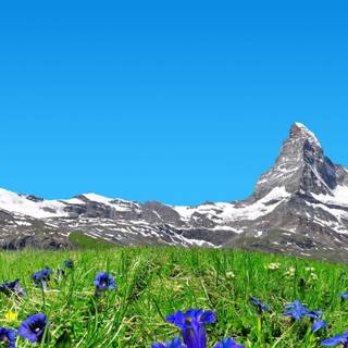 Spring Switzerland wallpaper