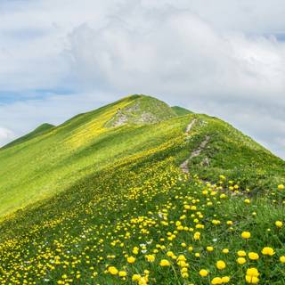 Ultrawide 4k spring wallpaper