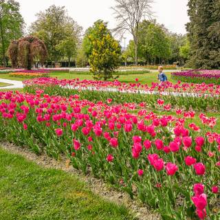 Spring Switzerland wallpaper