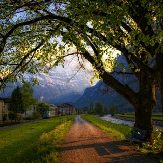 Spring Switzerland wallpaper