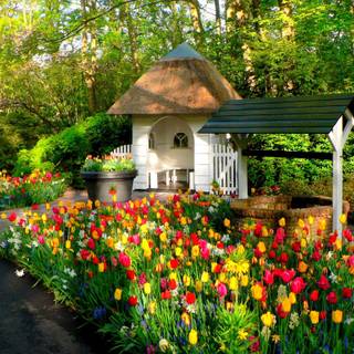 Ultrawide 4k spring wallpaper