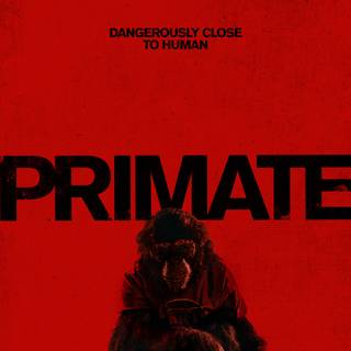 Primate movie wallpaper