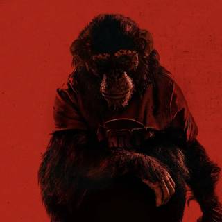 Primate movie wallpaper