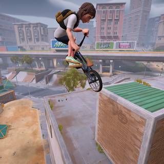 Streetdog BMX wallpaper