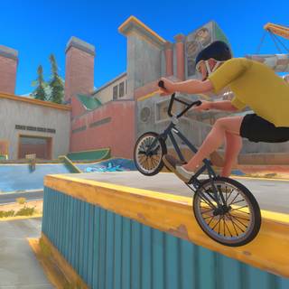 Streetdog BMX wallpaper