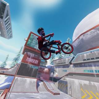 Streetdog BMX wallpaper