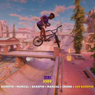 Streetdog BMX wallpaper
