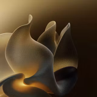 Motorola Signature wallpaper