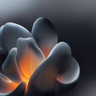 Motorola Signature wallpaper