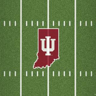 Indiana Hoosiers football wallpaper