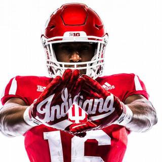 Indiana Hoosiers football wallpaper