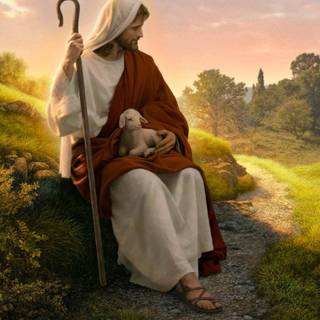 Jesus lamb wallpaper