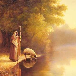 Jesus lamb wallpaper