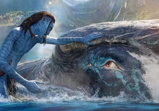 Avatar Lo'ak wallpaper