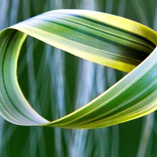 Mobius Strip wallpaper