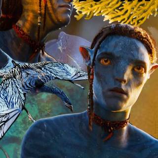 Avatar Lo'ak wallpaper