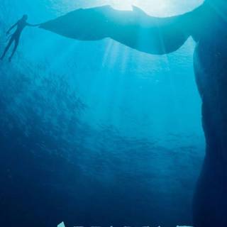 Avatar Lo'ak wallpaper