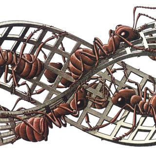 Mobius Strip wallpaper