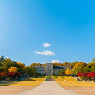 Korea University wallpaper
