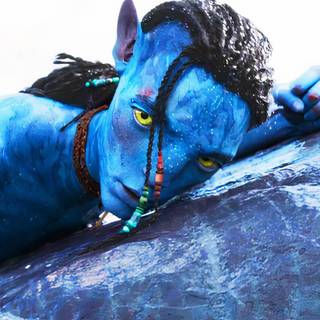 Avatar Lo'ak wallpaper