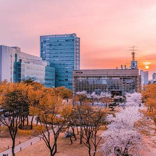 Korea University wallpaper