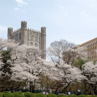 Korea University wallpaper