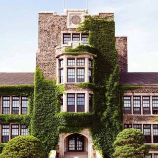 Korea University wallpaper