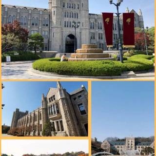Korea University wallpaper