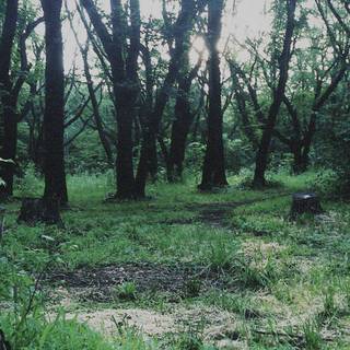 Silent Hill P.T. wallpaper