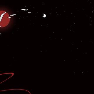 Spider lilies wallpaper