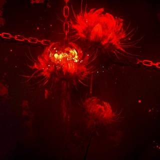 Spider lilies wallpaper