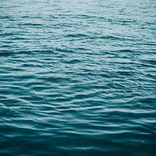 Sea surface wallpaper