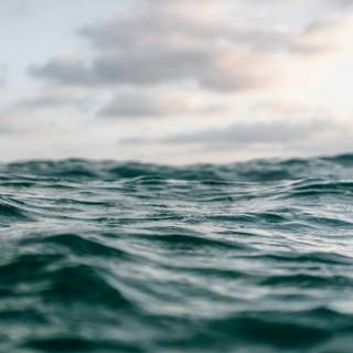 Sea surface wallpaper